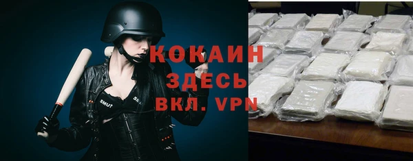 гашик Зерноград